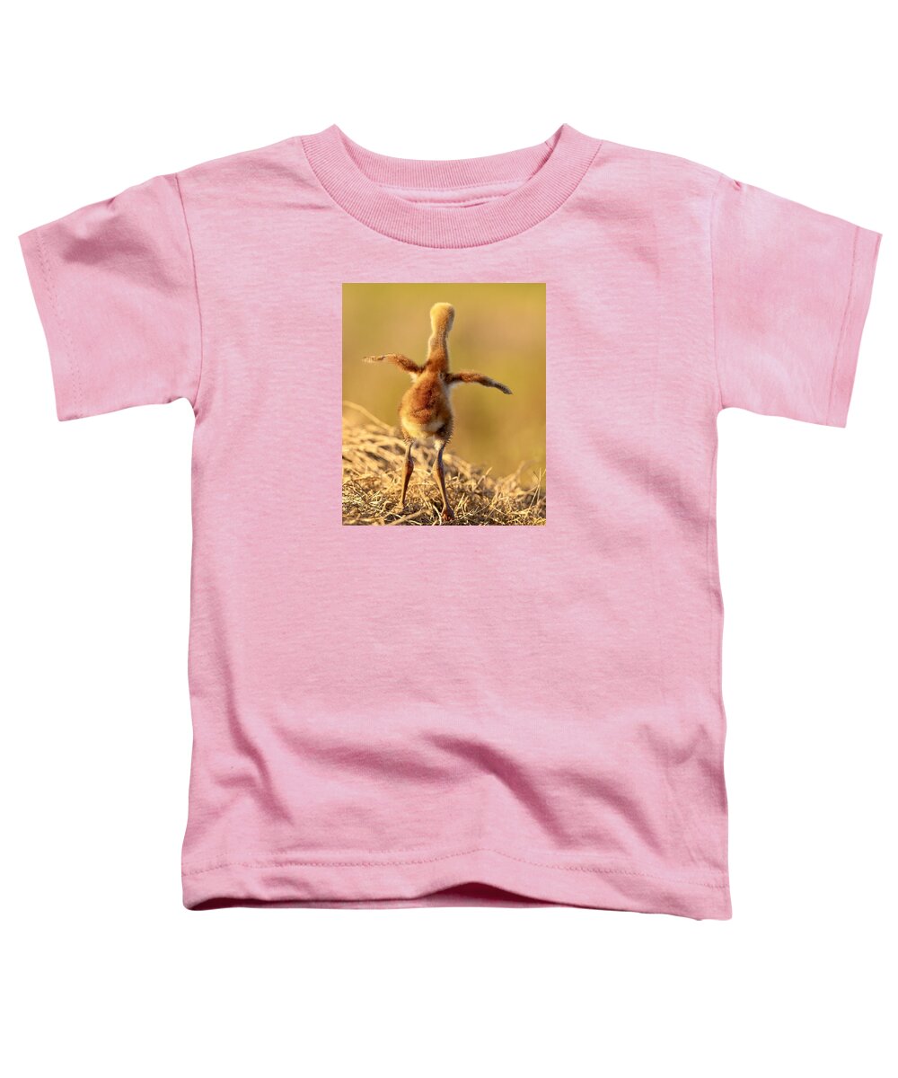 Homebound - Toddler T-Shirt