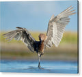 Hunter - Acrylic Print