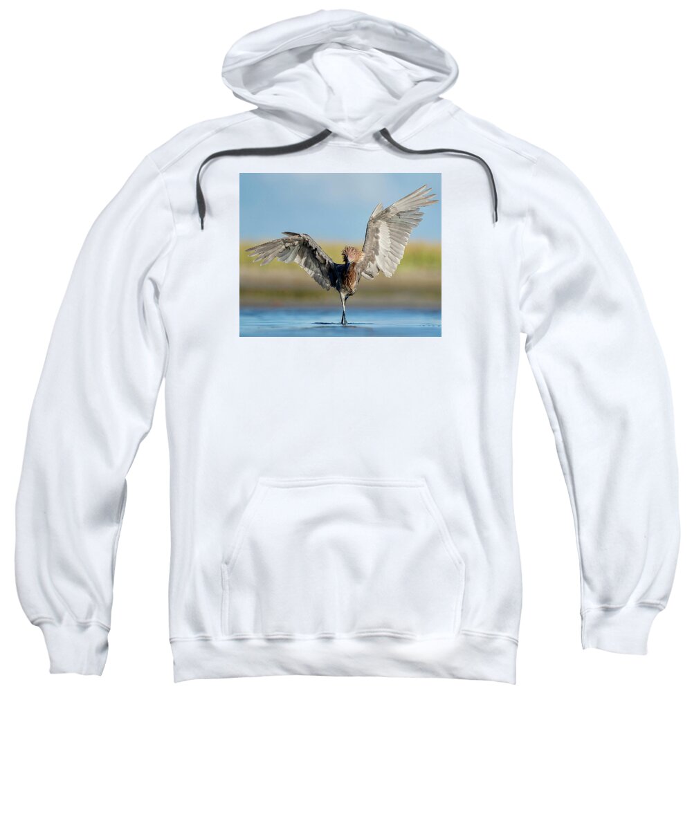 Hunter - Sweatshirt