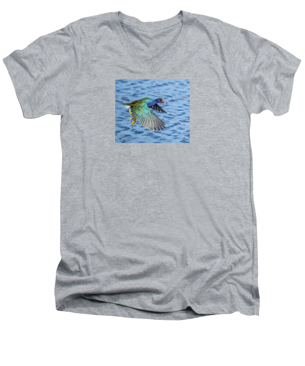Jewel Wing - Men's V-Neck T-Shirt