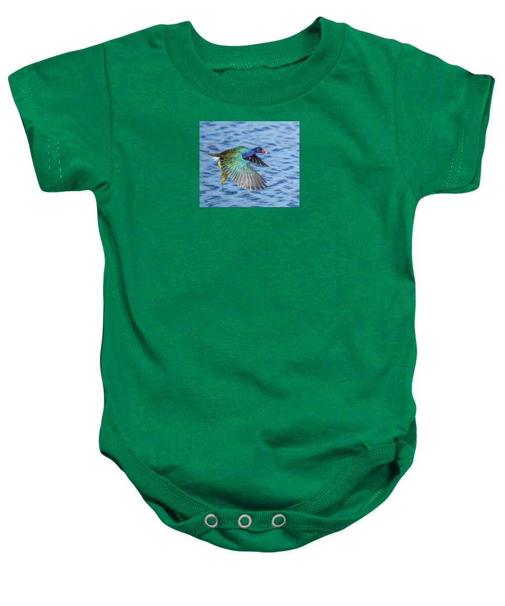 Jewel Wing - Baby One-Piece