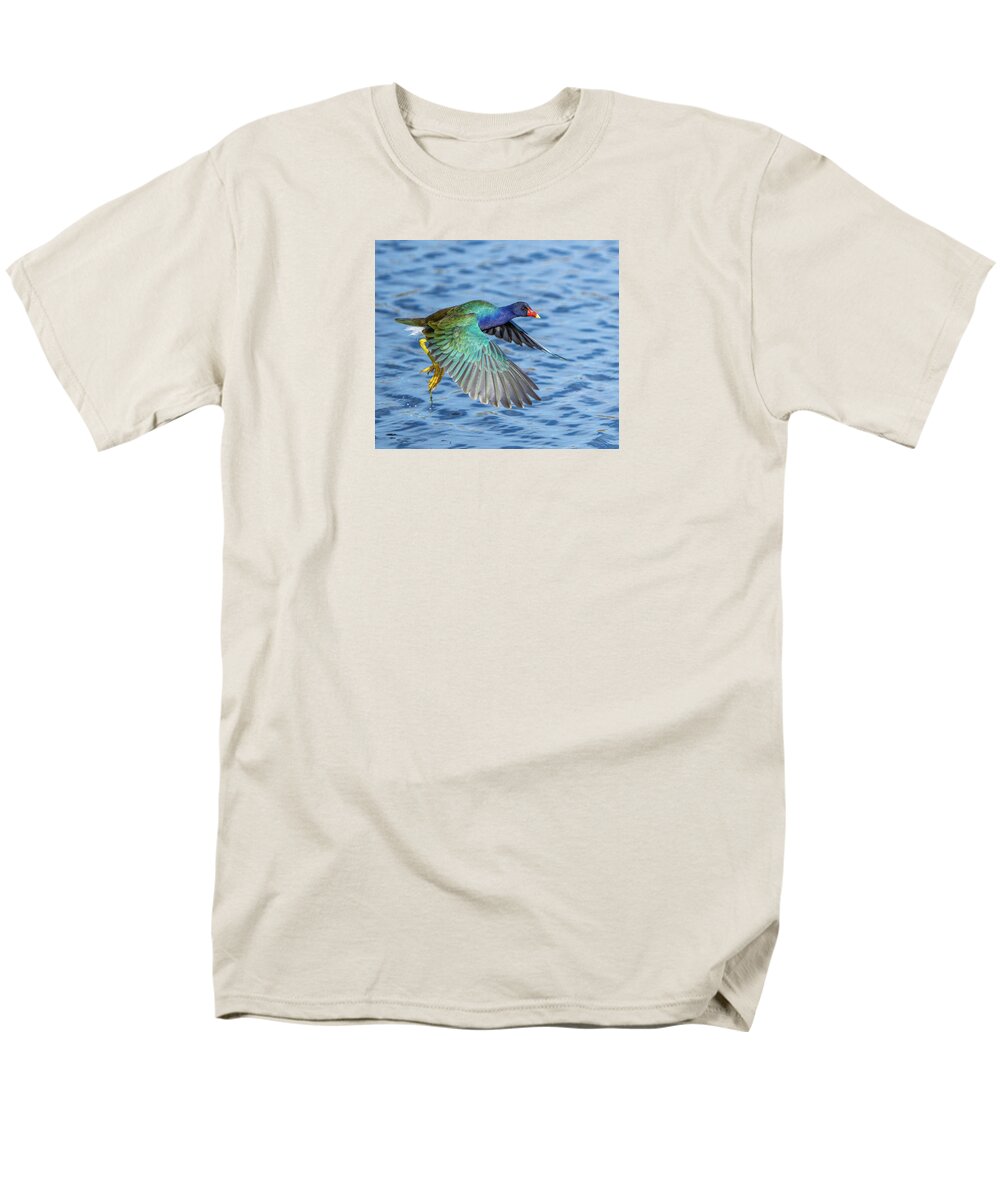 Jewel Wing - Men's T-Shirt  (Regular Fit)