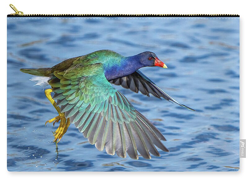 Jewel Wing - Zip Pouch