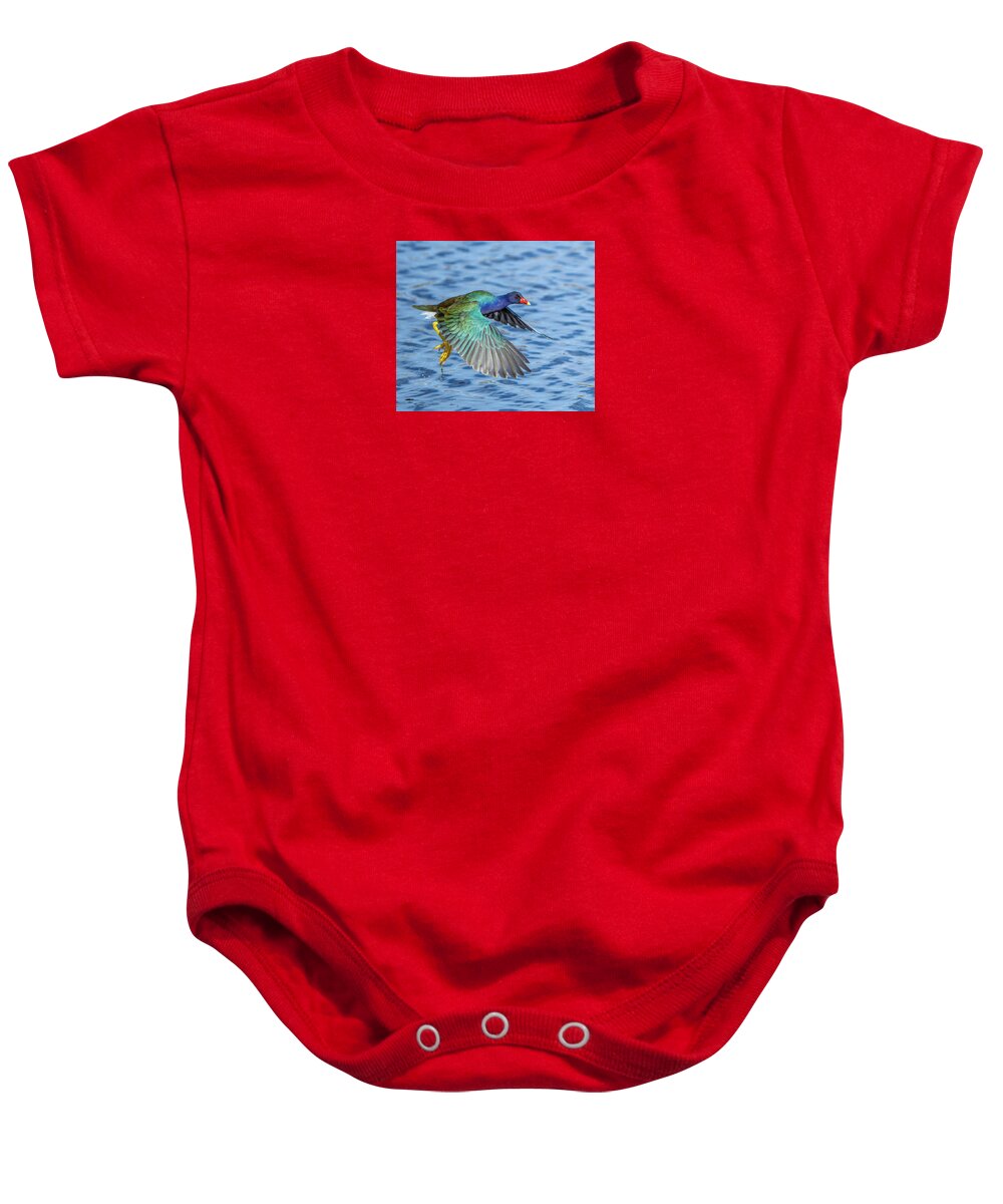 Jewel Wing - Baby One-Piece