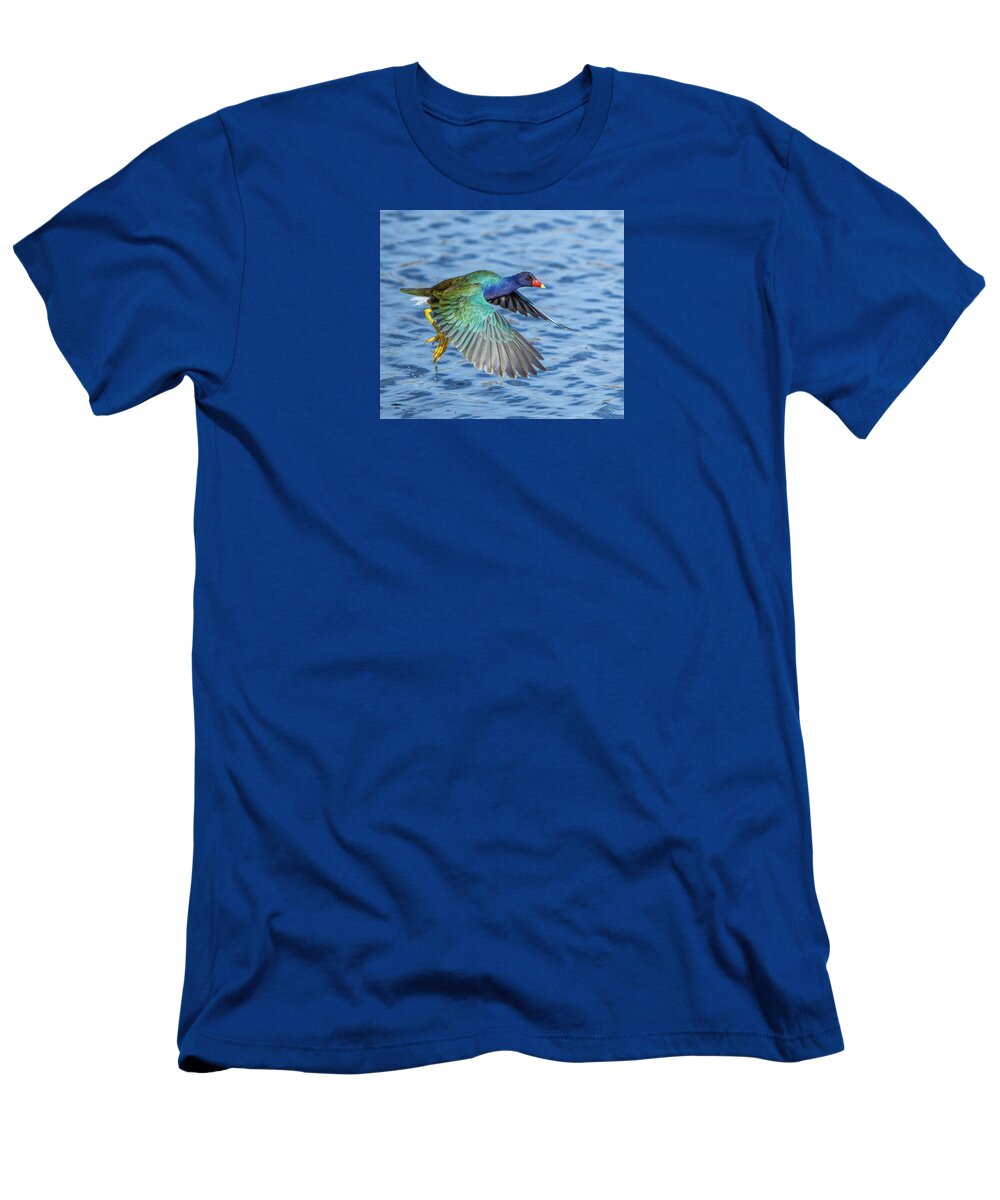 Jewel Wing - T-Shirt