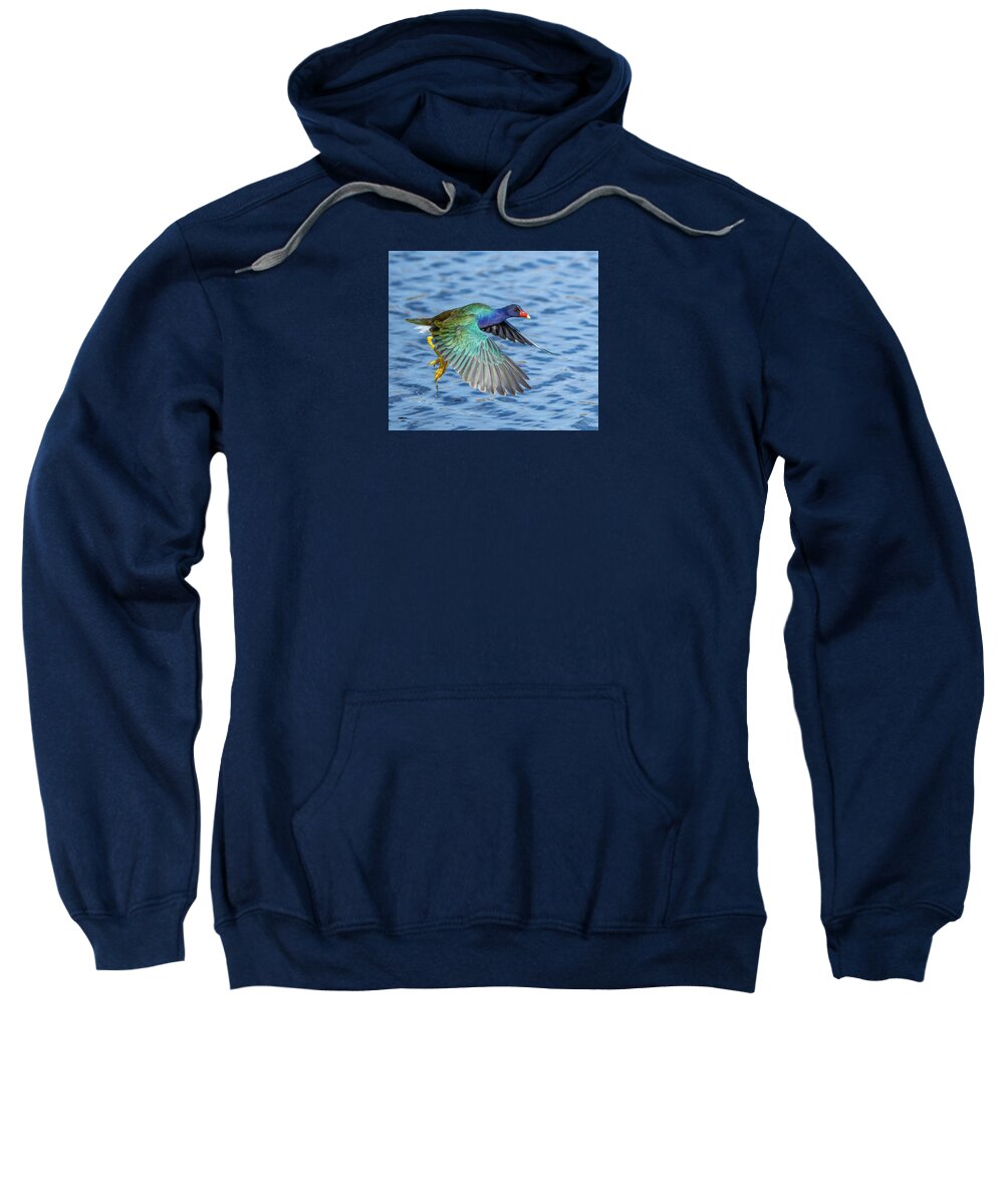 Jewel Wing - Sweatshirt
