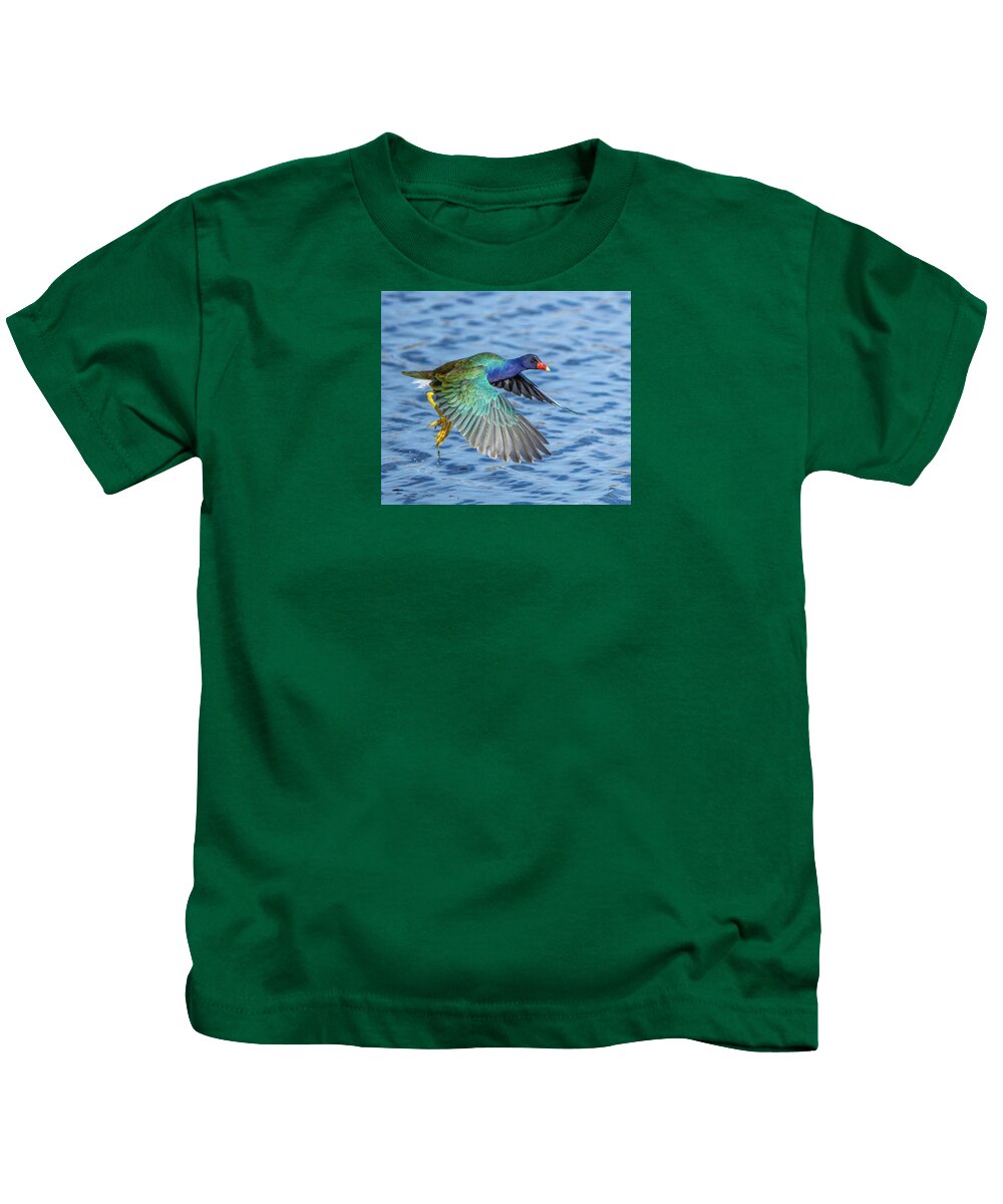 Jewel Wing - Kids T-Shirt
