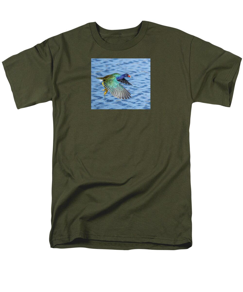 Jewel Wing - Men's T-Shirt  (Regular Fit)