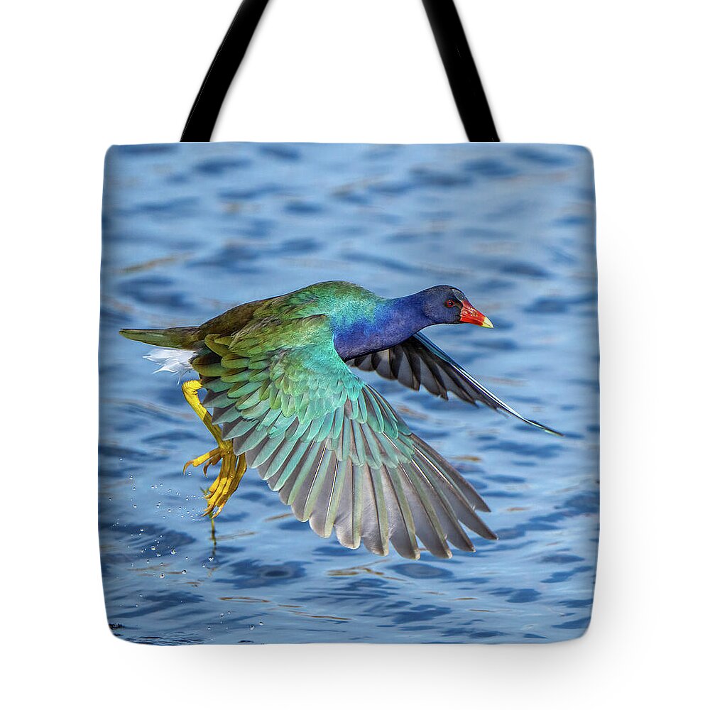 Jewel Wing - Tote Bag