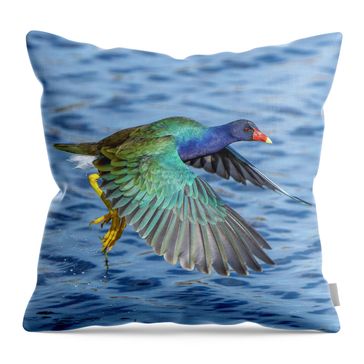 Jewel Wing - Throw Pillow