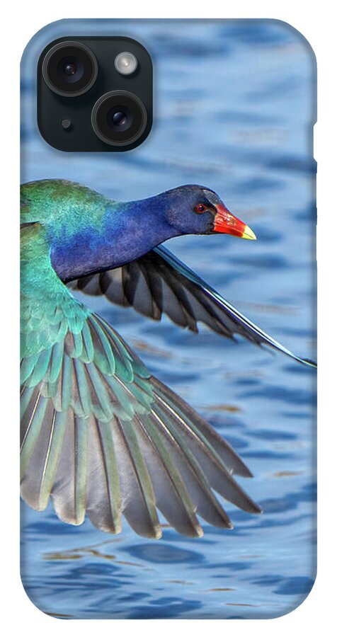 Jewel Wing - Phone Case