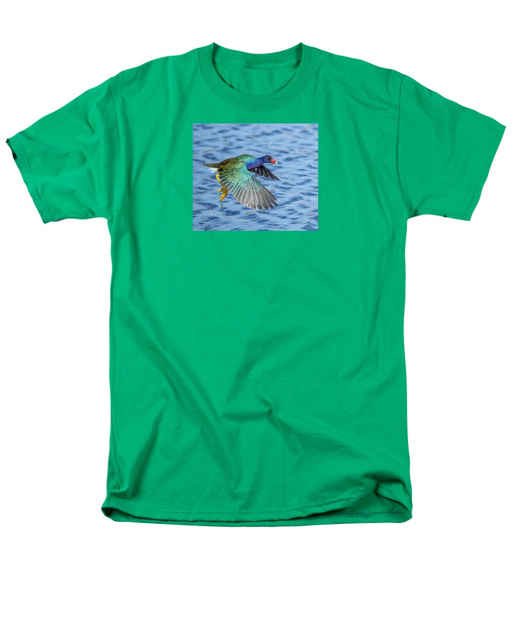 Jewel Wing - Men's T-Shirt  (Regular Fit)