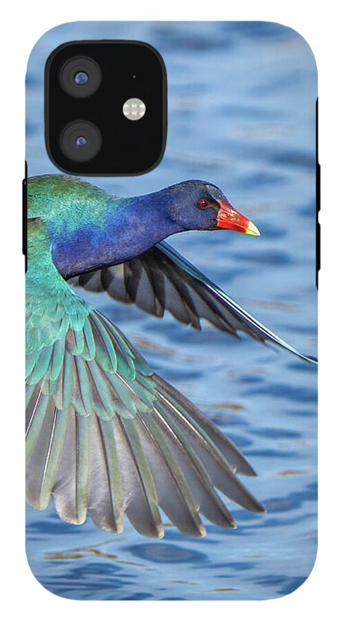 Jewel Wing - Phone Case