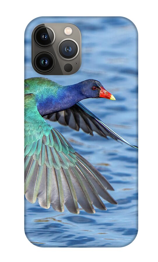 Jewel Wing - Phone Case