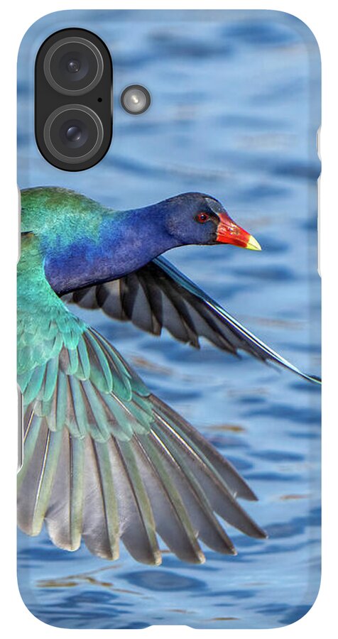Jewel Wing - Phone Case