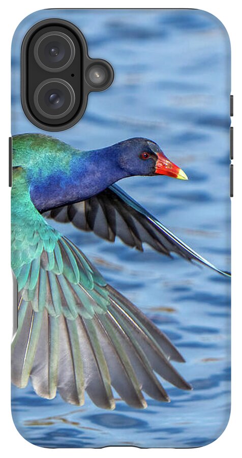 Jewel Wing - Phone Case