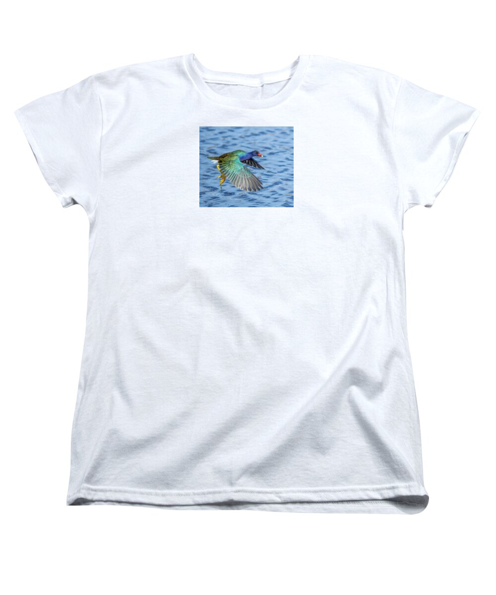 Jewel Wing - Women's T-Shirt (Standard Fit)