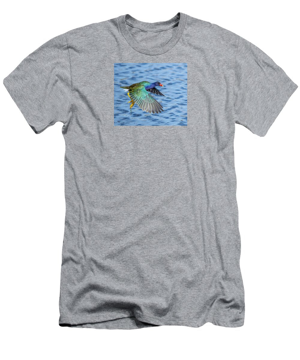 Jewel Wing - T-Shirt