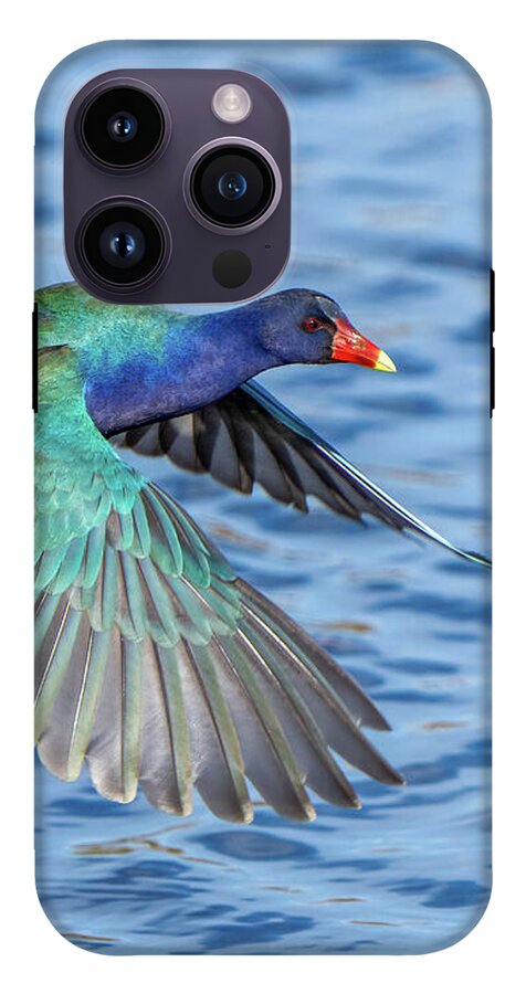 Jewel Wing - Phone Case