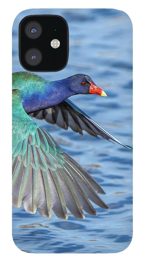 Jewel Wing - Phone Case
