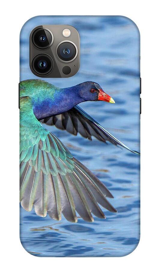Jewel Wing - Phone Case