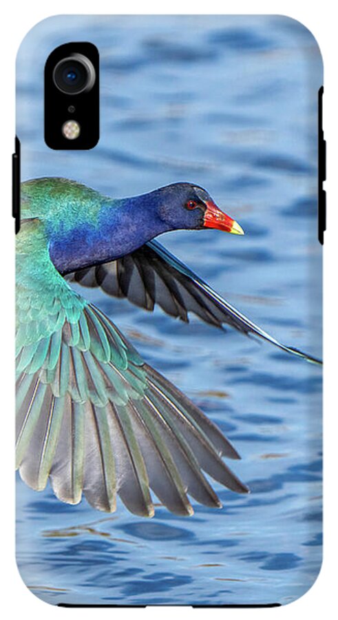 Jewel Wing - Phone Case