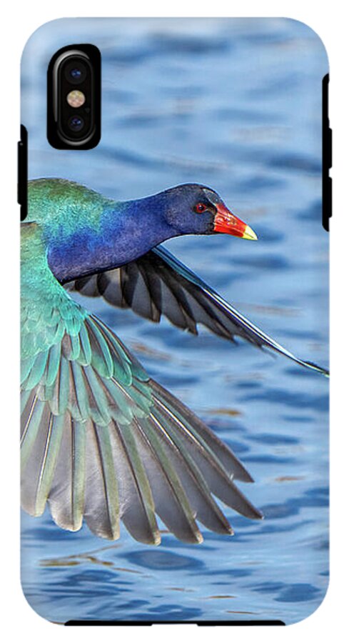 Jewel Wing - Phone Case