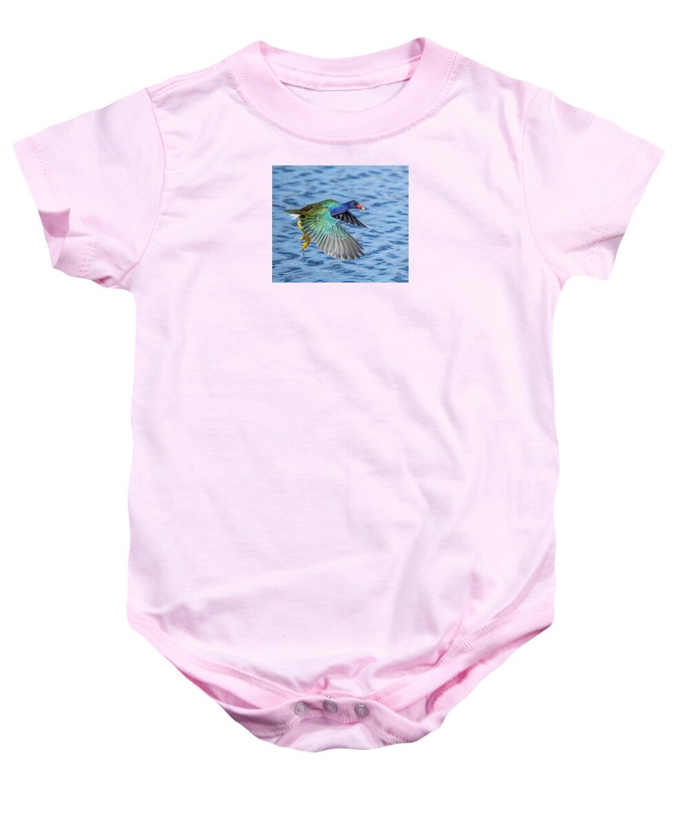 Jewel Wing - Baby One-Piece
