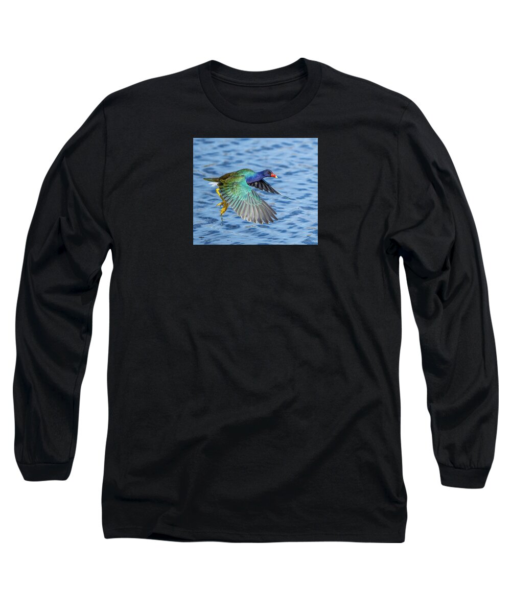 Jewel Wing - Long Sleeve T-Shirt