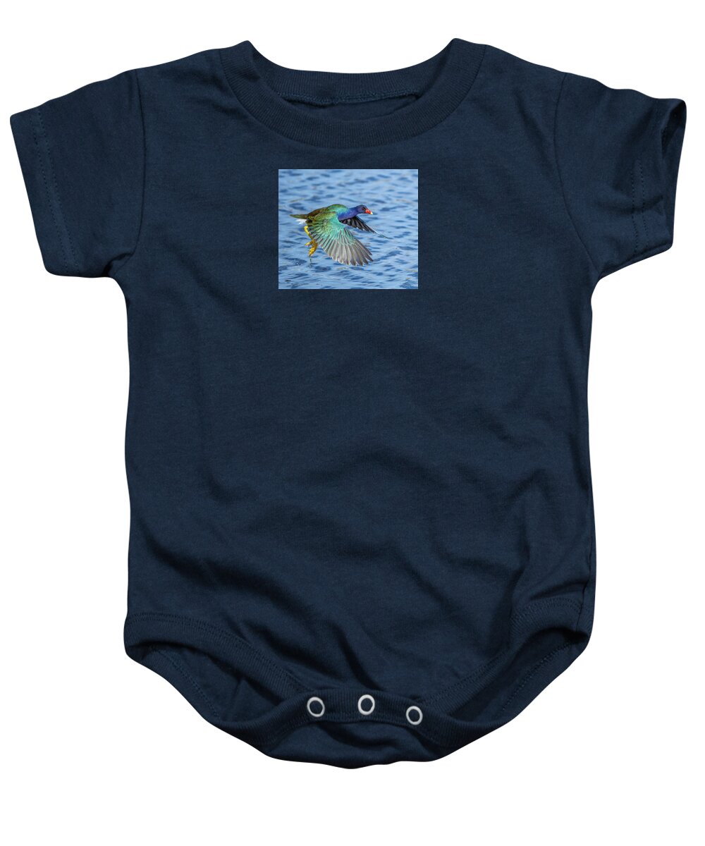 Jewel Wing - Baby One-Piece