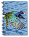 Jewel Wing - Spiral Notebook