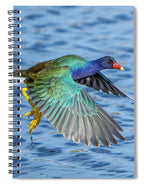 Jewel Wing - Spiral Notebook