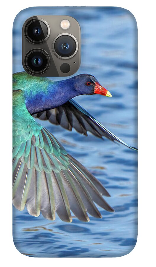 Jewel Wing - Phone Case