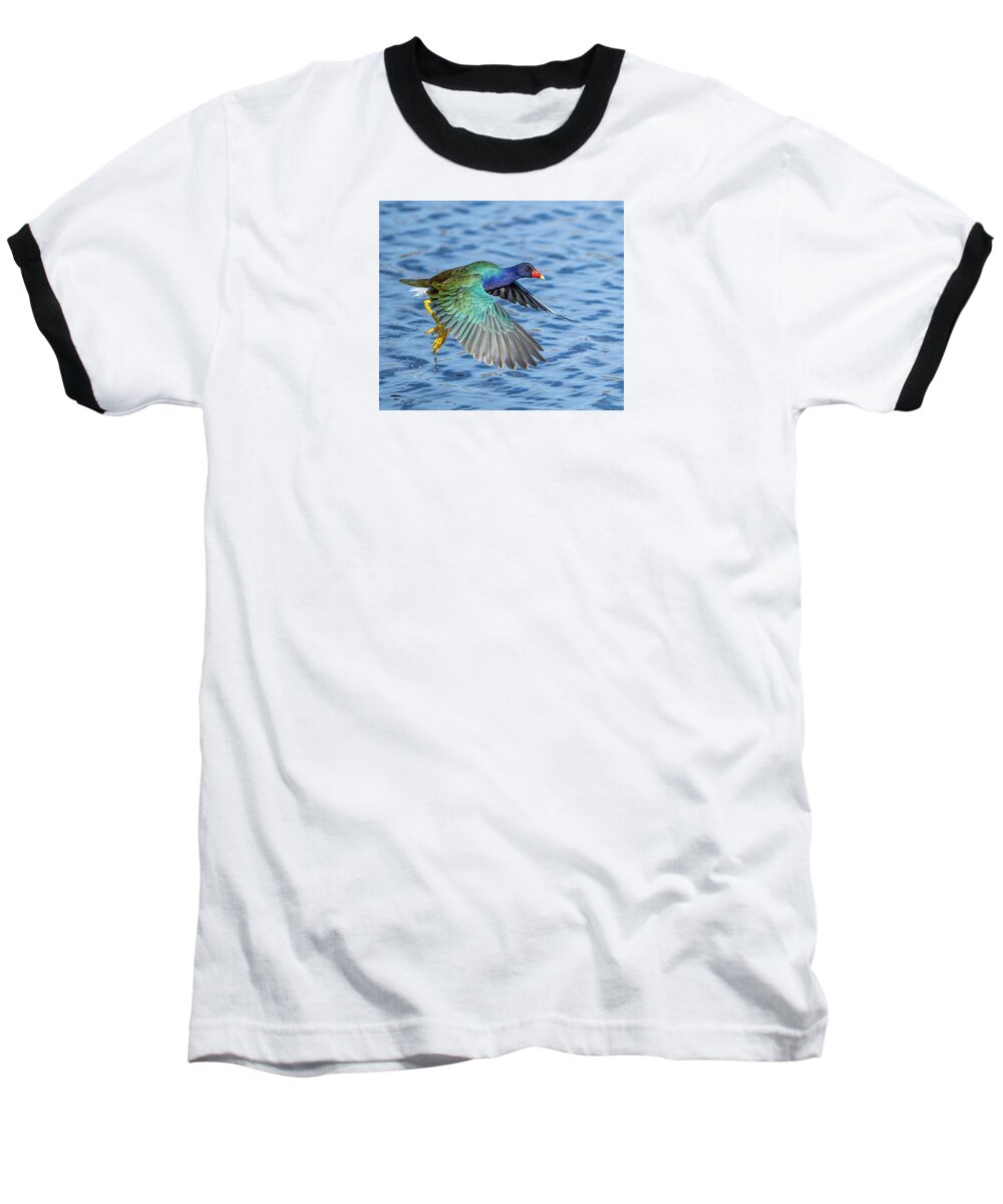 Jewel Wing - Baseball T-Shirt