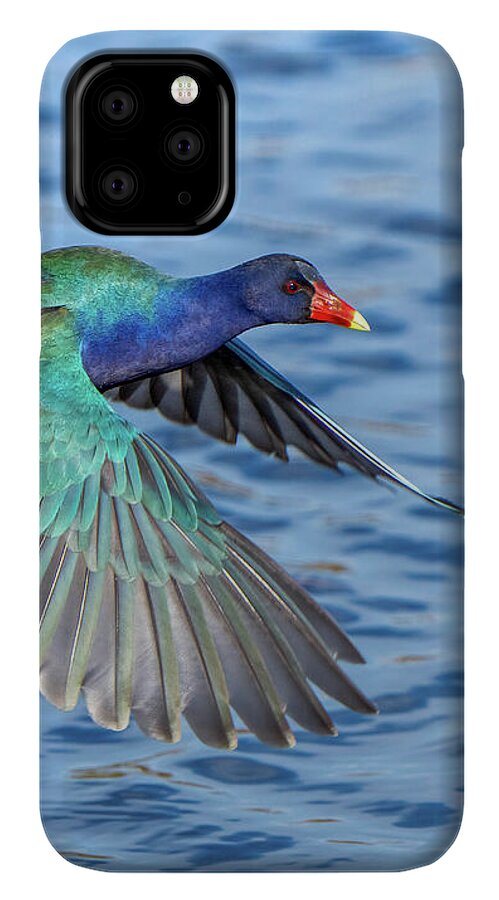 Jewel Wing - Phone Case