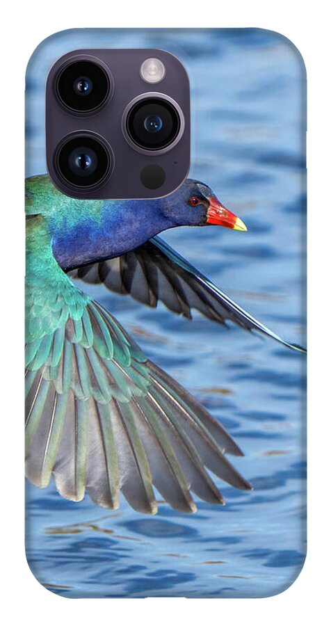 Jewel Wing - Phone Case