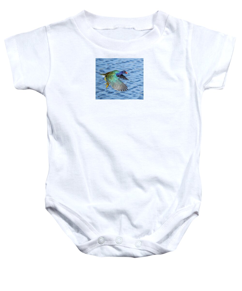 Jewel Wing - Baby One-Piece
