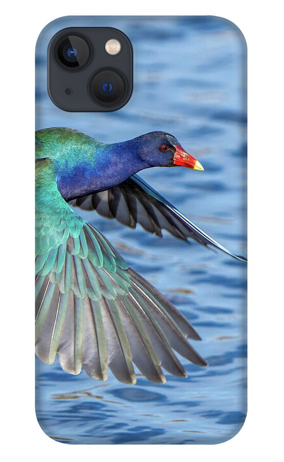 Jewel Wing - Phone Case