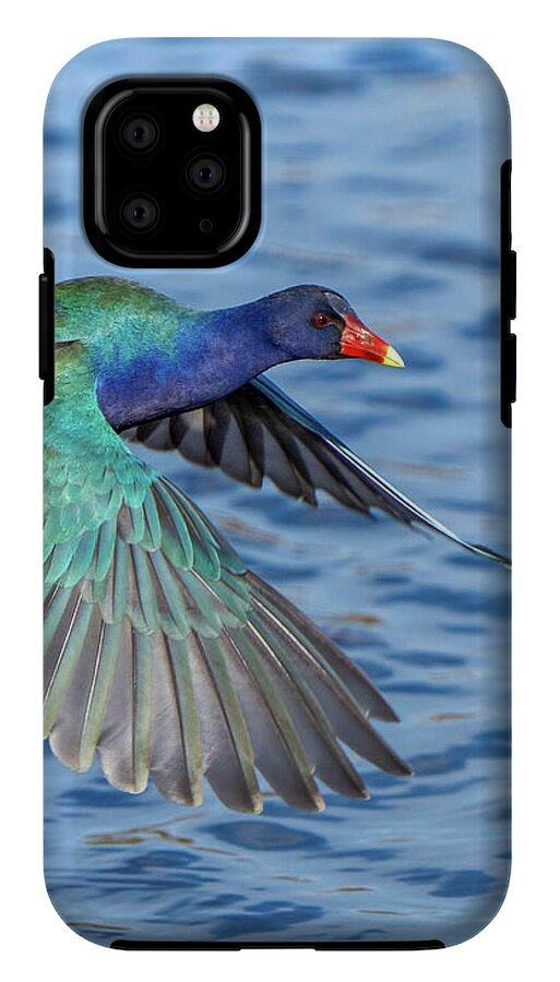 Jewel Wing - Phone Case