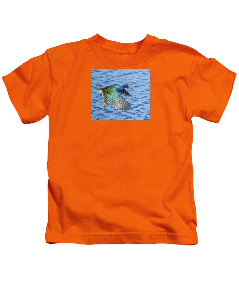 Jewel Wing - Kids T-Shirt