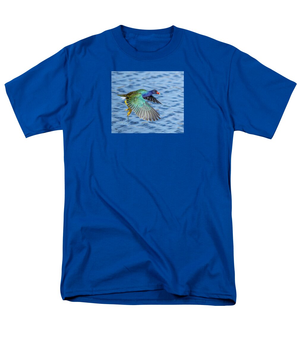 Jewel Wing - Men's T-Shirt  (Regular Fit)