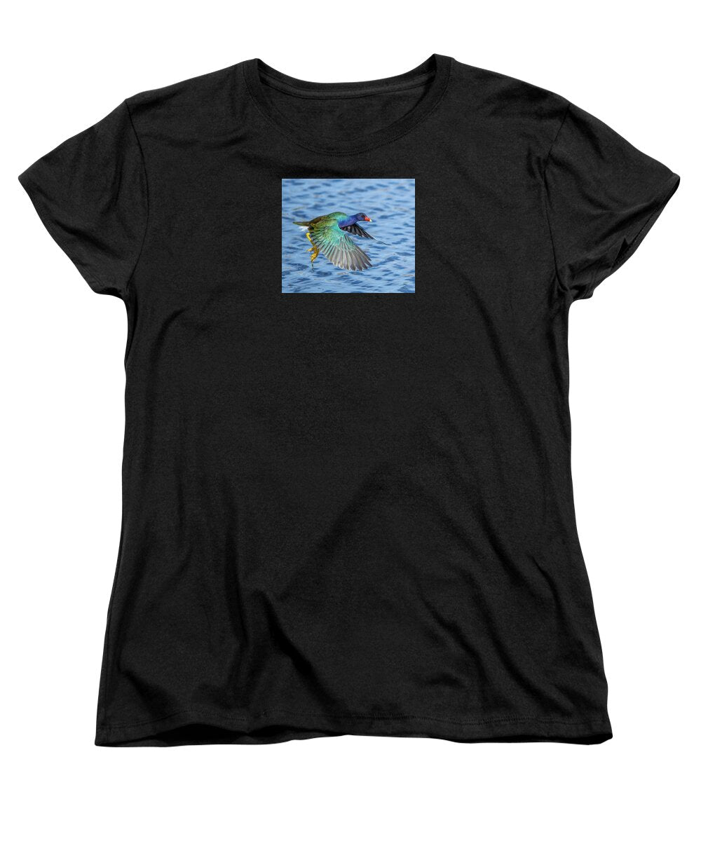 Jewel Wing - Women's T-Shirt (Standard Fit)