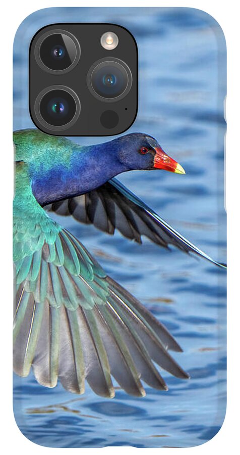 Jewel Wing - Phone Case