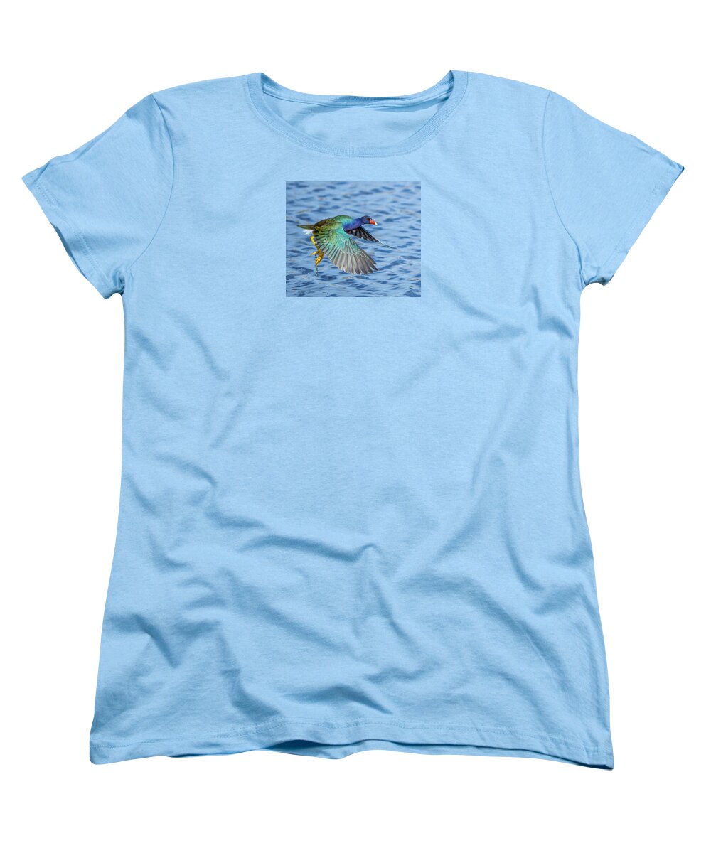 Jewel Wing - Women's T-Shirt (Standard Fit)