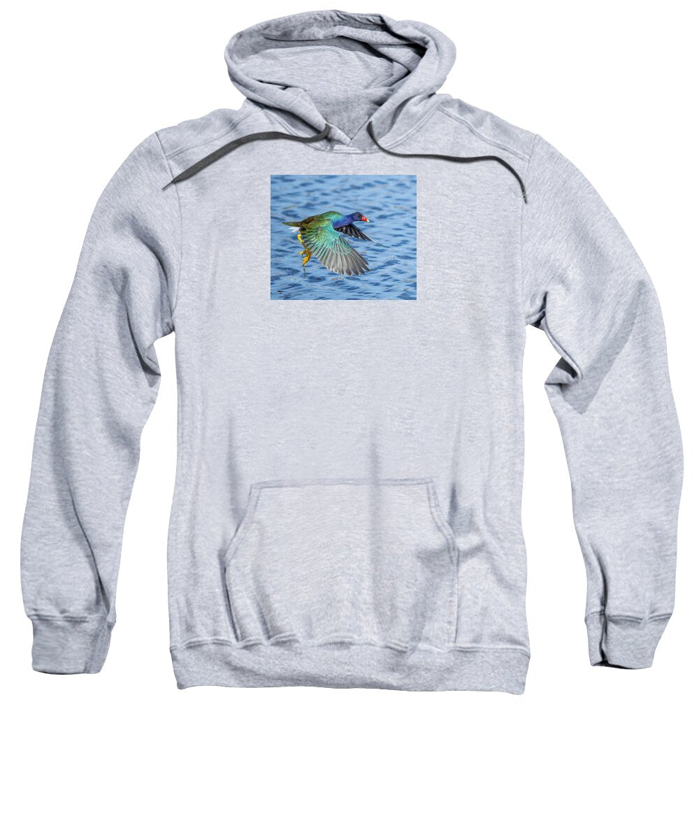 Jewel Wing - Sweatshirt