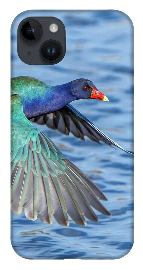Jewel Wing - Phone Case