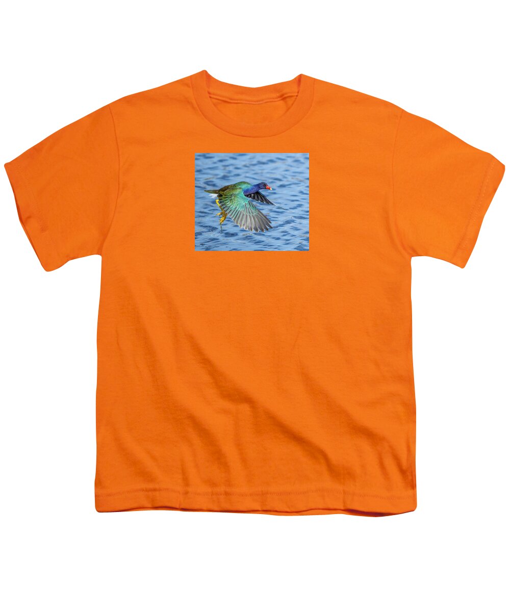 Jewel Wing - Youth T-Shirt
