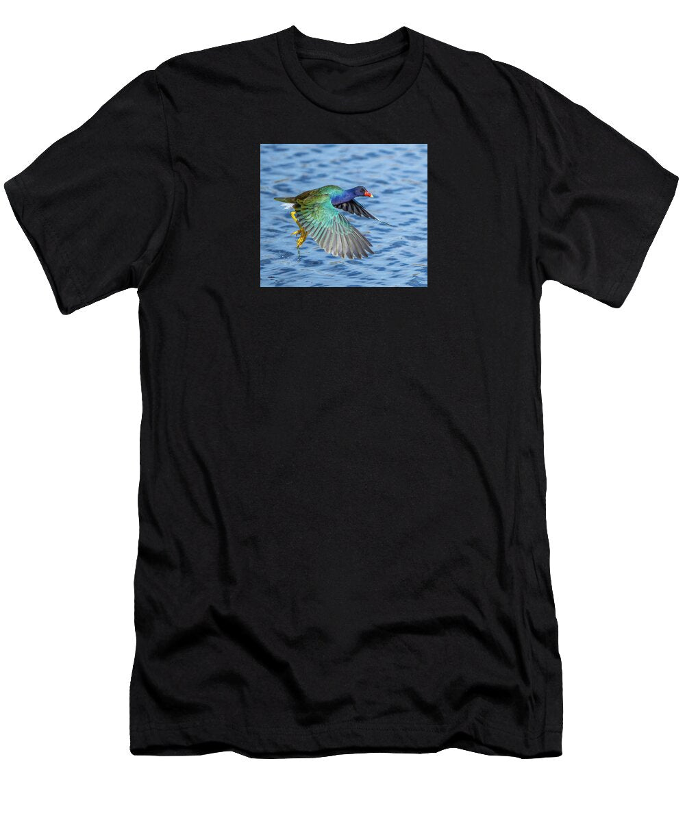 Jewel Wing - T-Shirt