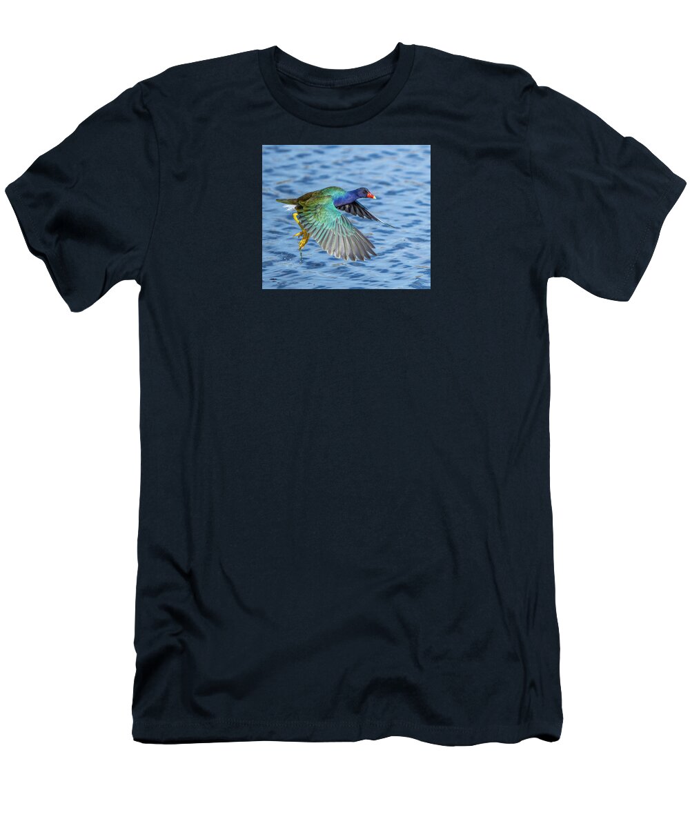 Jewel Wing - T-Shirt