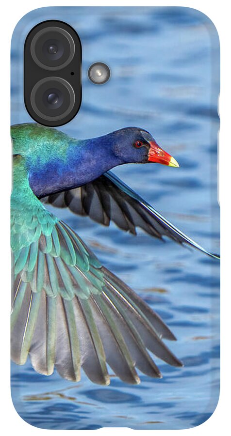 Jewel Wing - Phone Case